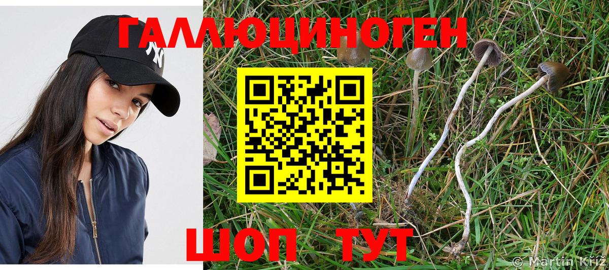 Галлюциногенные грибы прущие грибы  Вход с VPN  Кореновск 