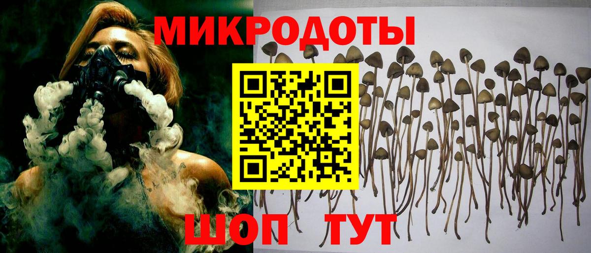Псилоцибиновые грибы прущие грибы Кореновск